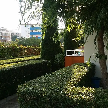 Apartment Orange